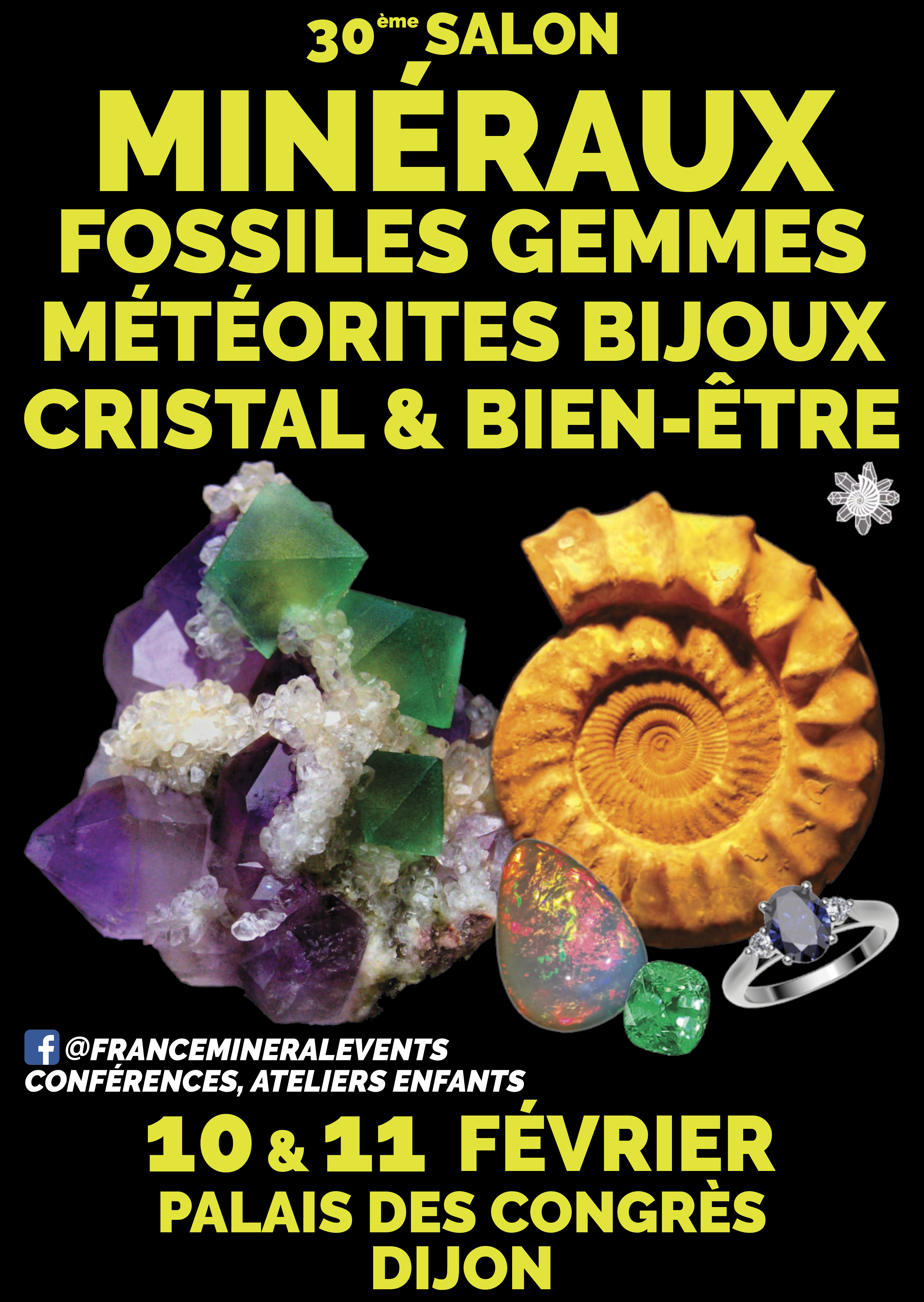 30ème Salon MinéralEvent Dijon