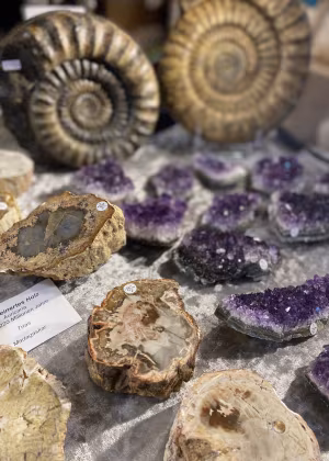 Hermosas piedras y minerales 2026