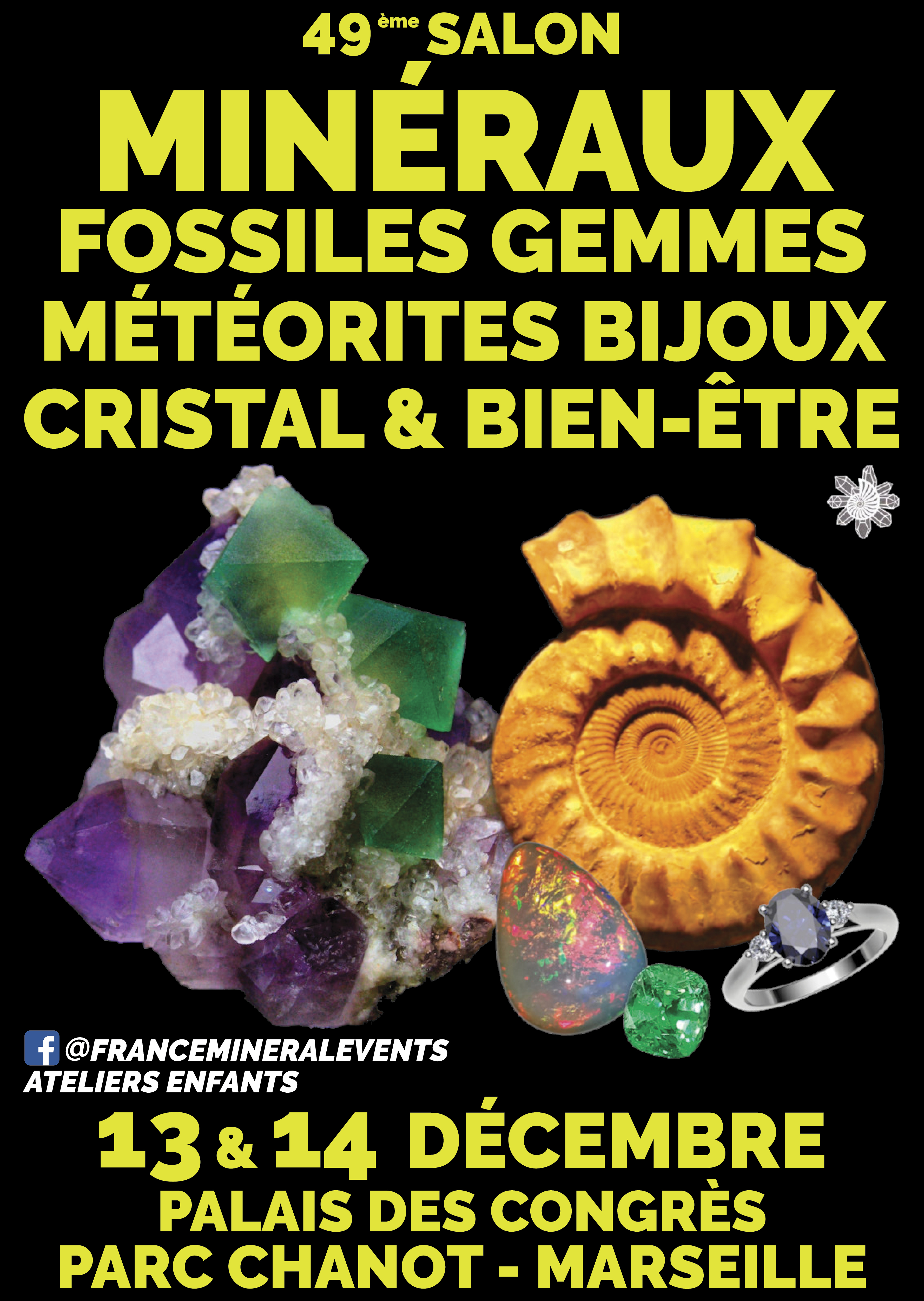 49ème Salon des Minéraux de Marseille