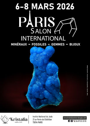 Salon International de Minéraux à Paris