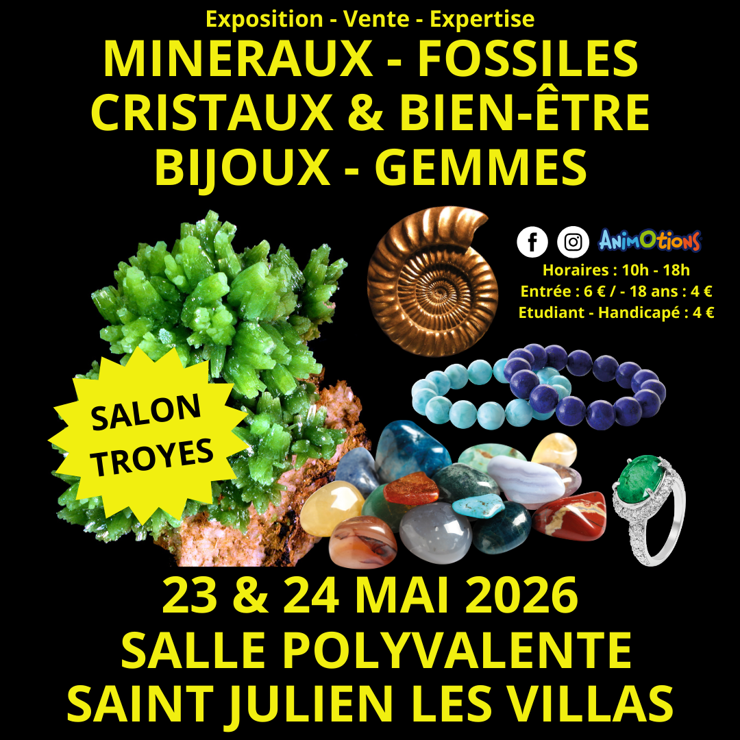 2ème Salon Minéraux Fossiles de Troyes
