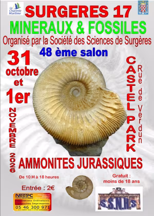 48ª Exposición Internacional de Minerales y Fósiles