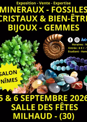 Exposición de minerales, fósiles y cristales