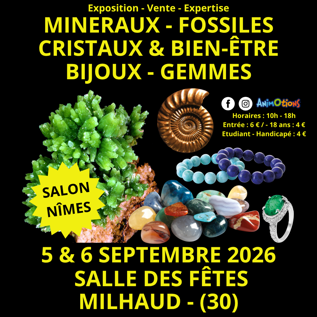 Salon Minéraux Fossiles Cristaux