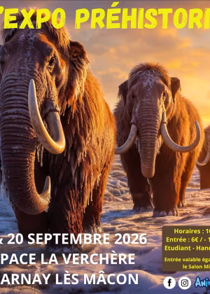 La Exposición Prehistórica