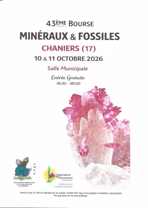 Minerales y fósiles en venta y exposición.