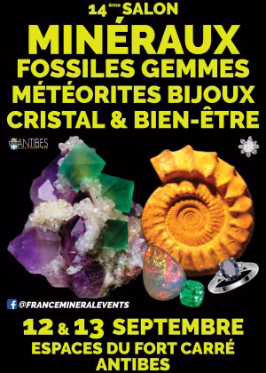 XIV Feria de Minerales de Antibes