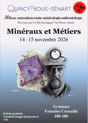 Feria de Minerales y Fósiles de Quincy-Sous-Senart