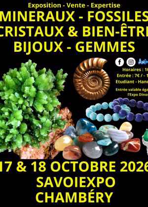 7ª Feria de Minerales, Fósiles y Cristales