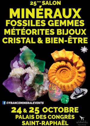 25° Salón de los Minerales de Saint-Raphaël