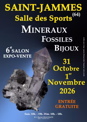 VI Feria de Minerales, Fósiles y Joyería de Saint-James