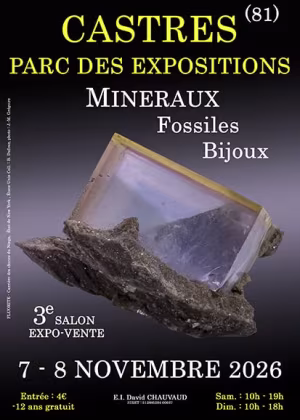3ª FERIA DE MINERALES, FÓSILES Y JOYERÍA DE CASTRES