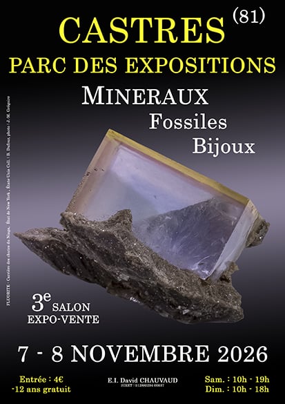 3e SALON MINERAUX FOSSILES BIJOUX de CASTRES