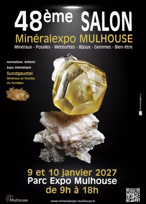 48.ª feria comercial Mineralexpo-Mulhouse 2027