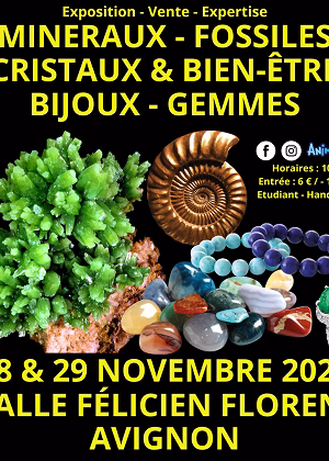 Feria de Minerales, Fósiles, Cristales y Bienestar, Gemas y Joyas