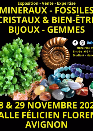 Feria de Minerales, Fósiles, Cristales y Bienestar, Gemas y Joyas