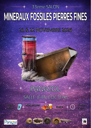 337ME SALÓN DE MINERALES, FÓSILES Y PIEDRAS FINAS