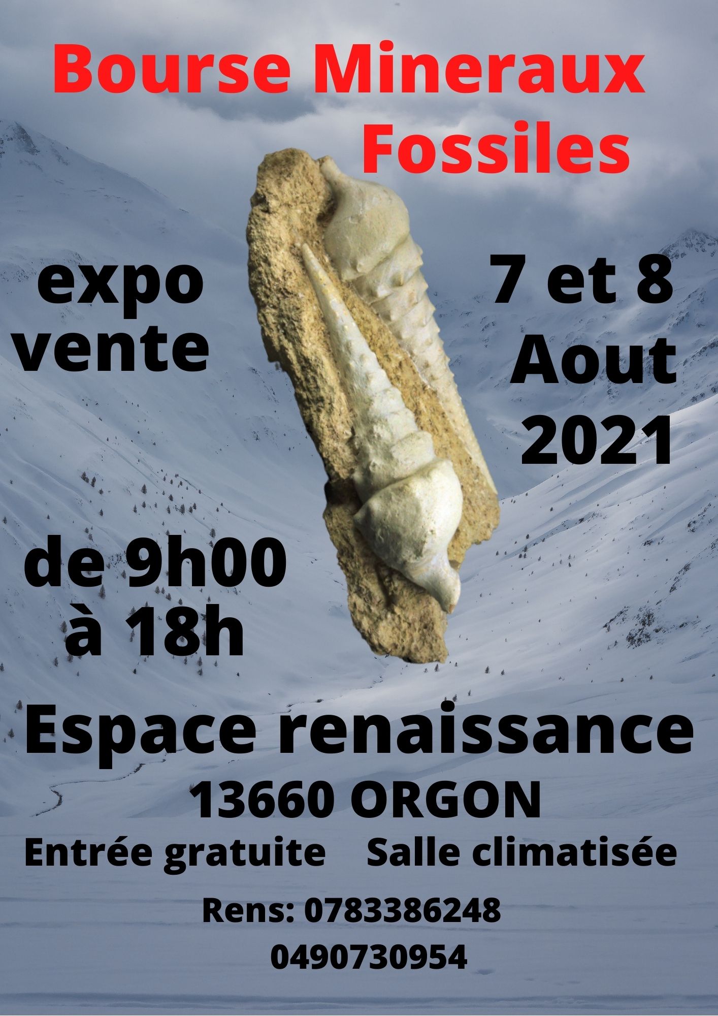5éme bourse minéraux fossiles d'Orgon
