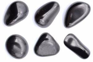 Shungitas