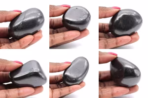 Shungitas