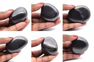 Shungitas