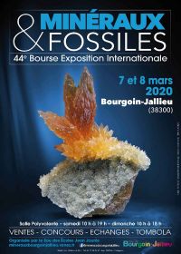 44º intercambio de minerales y fósiles e intercambio de intercambio