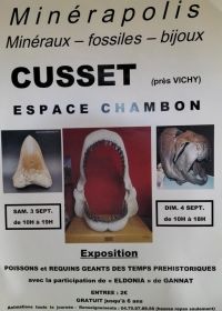 Exposición MINERAPOLIS de fósiles, minerales y joyería