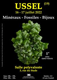 I Feria de Minerales de Joyería Fossil