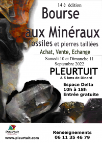 14 ° Beca de Minerales y Fósiles