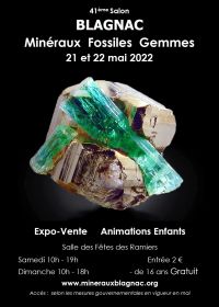 42a Beca de Minerales y Fósiles