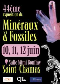 44° Feria de Minerales y Fósiles