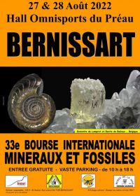33a Beca Internacional de Minerales y Fósiles
