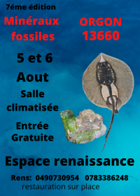 Séptimo Intercambio de Minerales Fósiles