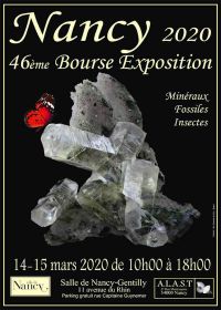 46ª exposición bursátil de minerales e insectos fósiles.