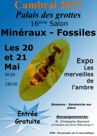XVII Feria AGC de Minerales y Fósiles. Entrada gratuita de 9:30 a 18:30 horas.