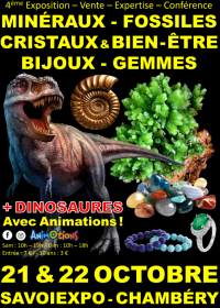 IV Feria de Cristales y Bienestar de Fossil Minerals