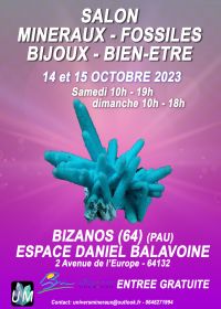 Feria de minerales, fósiles, joyería de diseño y bienestar.