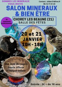 Espectáculo de minerales, fósiles, meteoritos y bienestar.