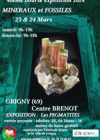 40ª exposición de minerales y fósiles