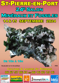 24 EME Bolsa de minerales y fósiles de Saint Pierre en Port