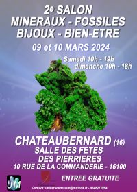 Feria de minerales, fósiles, joyería de diseño y bienestar.