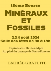 XVIII Intercambio de minerales y fósiles.