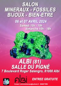 Feria de minerales, fósiles, joyería de diseño y bienestar.