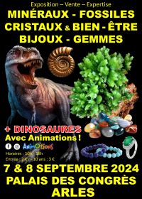 Minerales Fósiles Cristales y Bienestar Salón Joyas y Gemas + Exposición de Dinosaurios