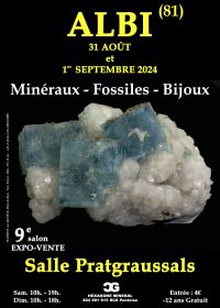 IX EXPOSICIÓN DE MINERALES FÓSILES DE JOYERÍA ALBI
