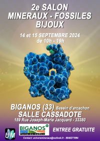 Minerales, fósiles, exposición de joyería de diseño