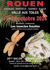 29ª Exposición Internacional de Rouen 2024 Fósiles, minerales, gemas y joyas