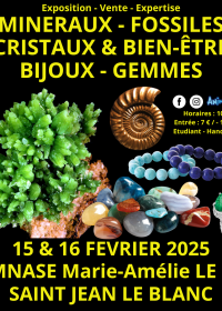 45ª Exposición Minerales Fósiles Cristales y Bienestar Joyas y Gemas