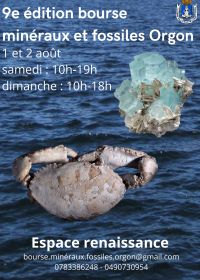 9º bolso minerales fósiles joyas meteoritos