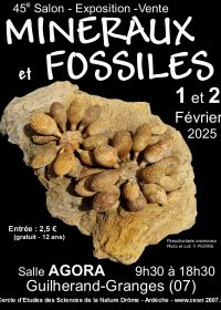 45º Intercambio de Minerales y Fósiles de Guilherand-Granges